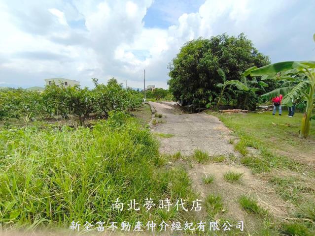 玉井農地-7