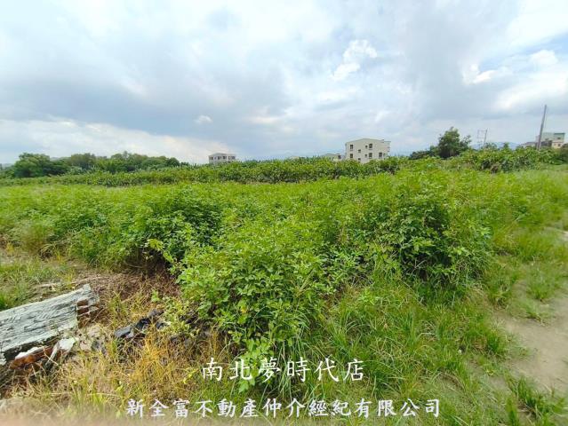 玉井農地-8