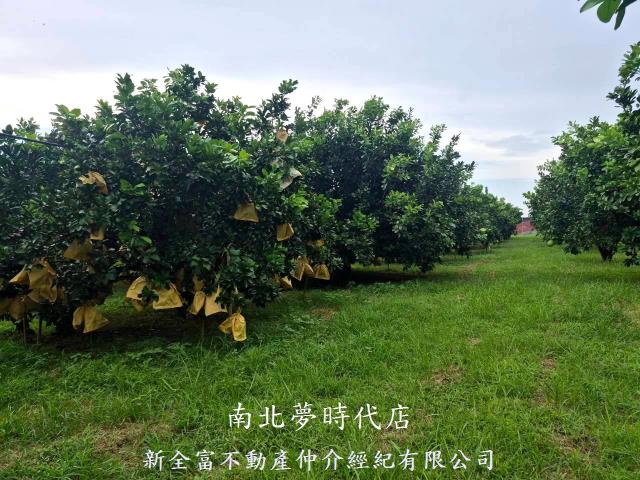 下營農地-3