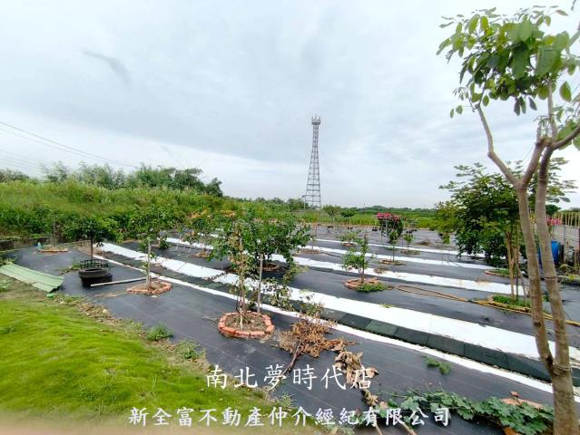 七股農地-13