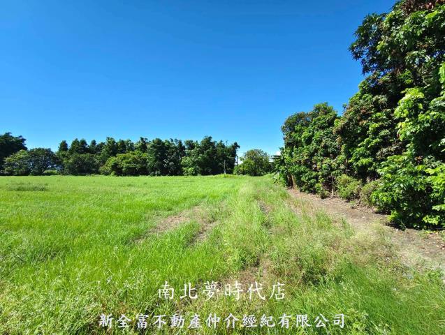 仁德農地-4