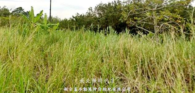 關廟農地-0