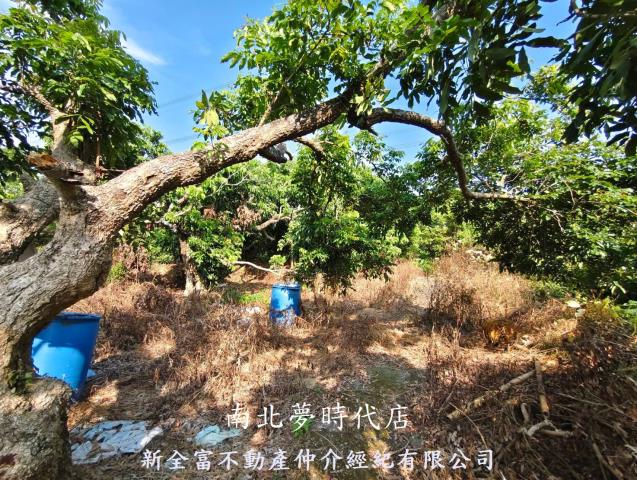 台南農地-11