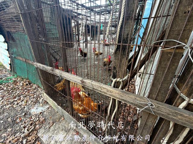 安南農地-2
